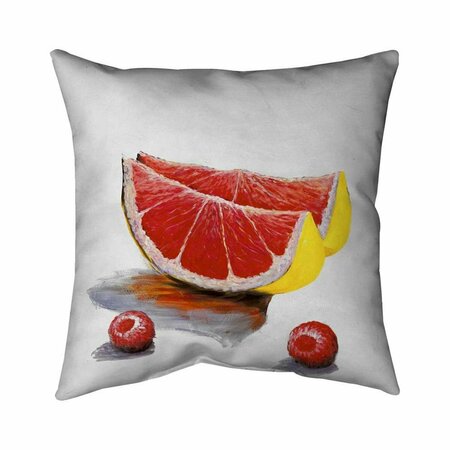 FONDO 26 x 26 in. Grapefruit Slices-Double Sided Print Indoor Pillow FO2775636